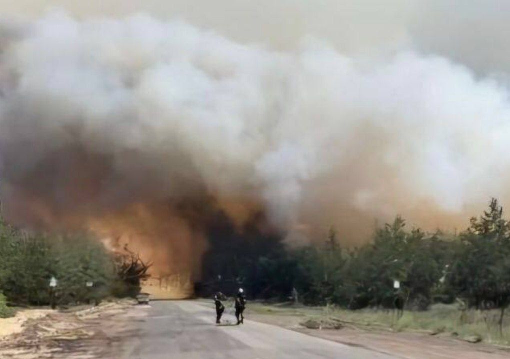 Спасатели ликвидировали масштабный лесной пожар в Лиманской громаде