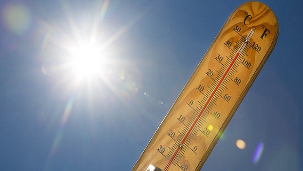 Последние пять лет признаны самыми жаркими в истории 