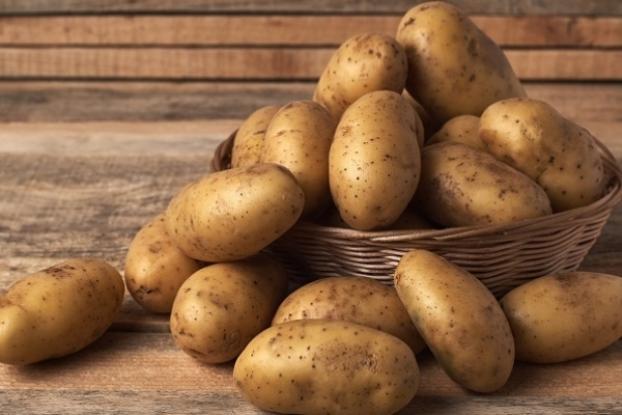 Дефицит: Украина впервые закупает картошку в Беларуси