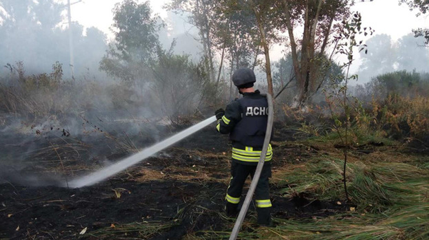 Масштабные пожары на Луганщине: спасатели ликвидировали 8 очагов возгораний