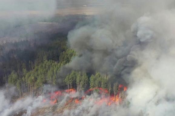 Пожары в Луганской области: количество жертв выросло