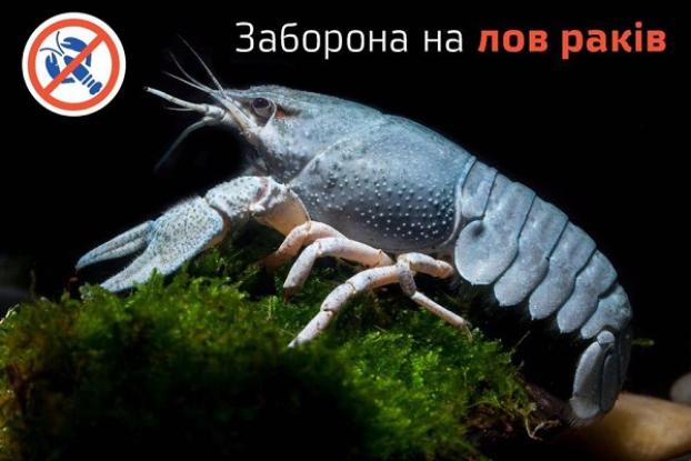 В Донецкой области объявили запрет на ловлю раков