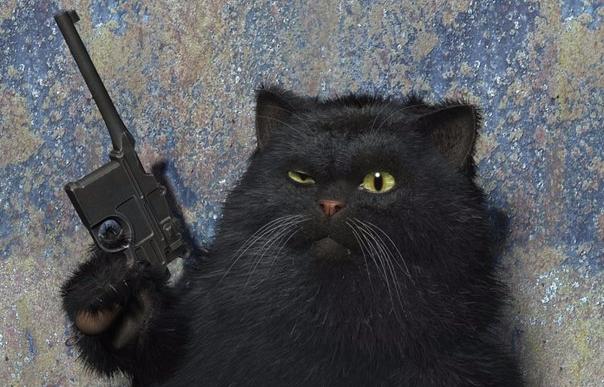 Дикий кот из Кировограда напал на 11 человек и ушел от ответственности
