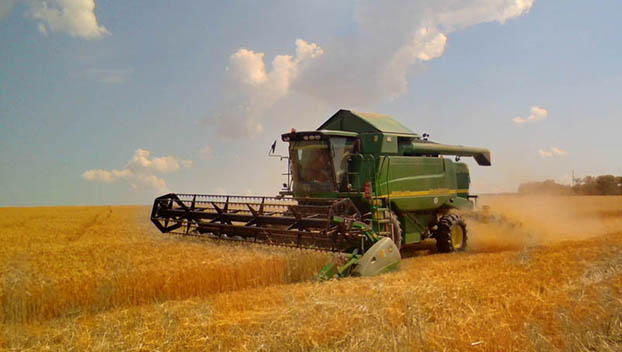 Урожайность ранних зерновых в Добропольском районе превышает 33 центнера с гектара