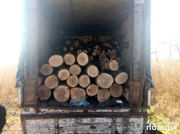 В прифронтовом районе Донецкой области поймали «черных» лесорубов