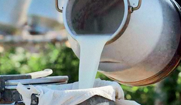 Производство молока в Константиновском районе сократилось в два раза