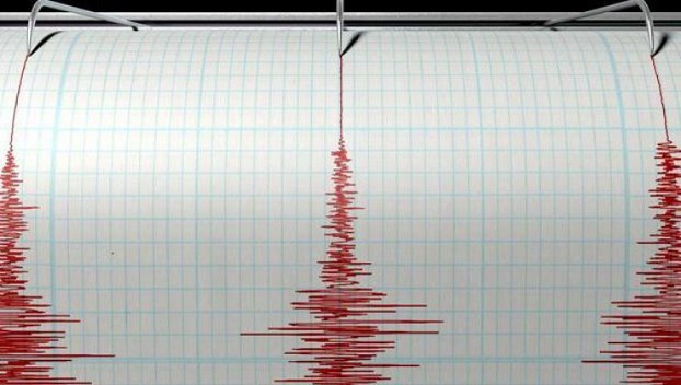 У побережья Новой Зеландии произошло землетрясение