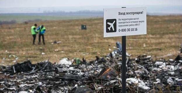 Расследование по сбитому над Донбассом Боингом обнародуют в следующем месяце 
