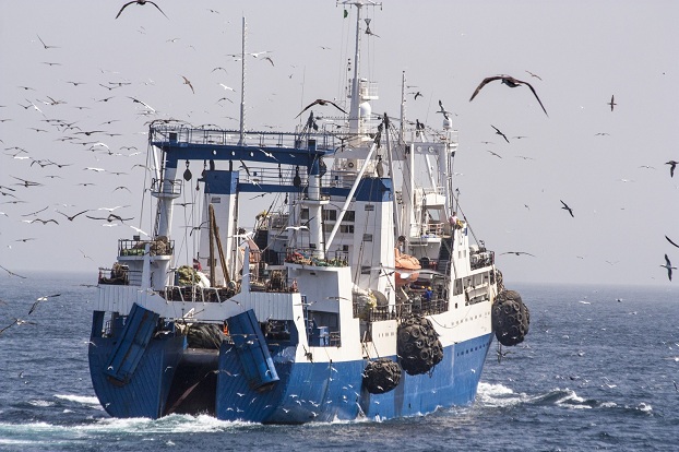 Россия и Украина распределят квоты по вылову рыбы в Азовском море