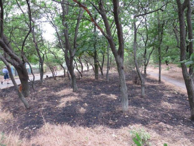 В Мариуполе за сутки выгорело около 78 тыс. кв. м территорий и электроподстанция 