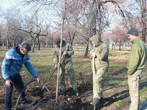 Военнослужащие высадили деревья в парке Новогродовки