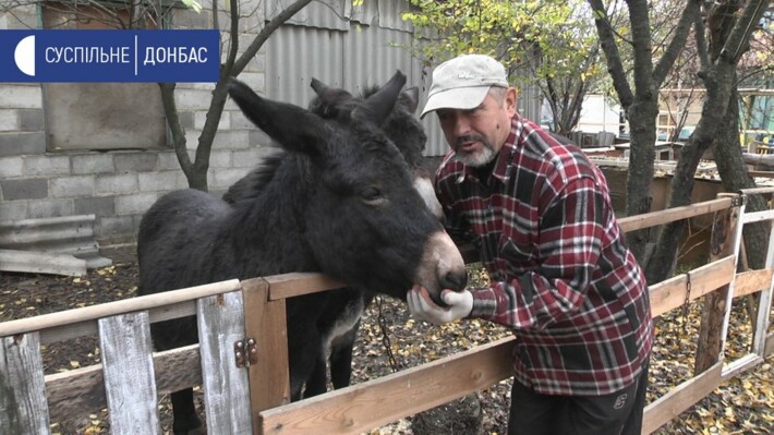 Пенсионер в Славянске в собственном дворе устроил минизоопарк