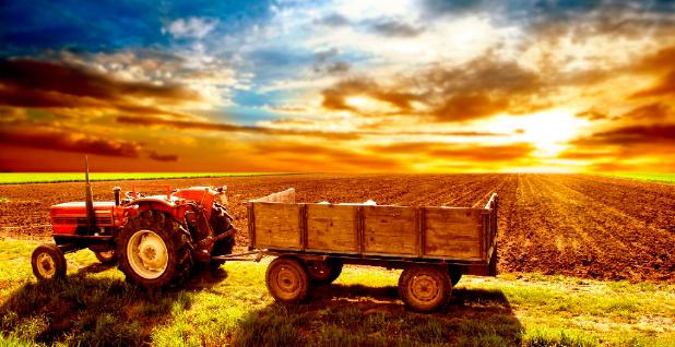 Сельское хозяйство Украины обеспечивает 37% валютных поступлений в госбюджет