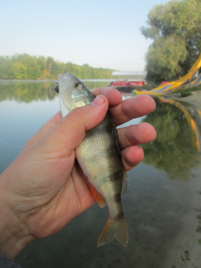 рыбалка в Донецкой области