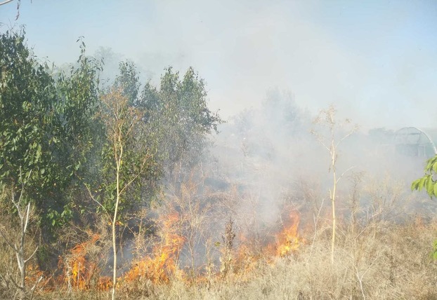 За сутки в Донецкой области ликвидирован 81 пожар