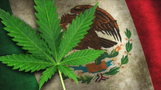 Министр туризма Мексики выступил за легализацию марихуаны в стране