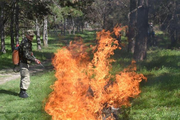 На выходных в Украине ожидается чрезвычайный уровень пожарной опасности