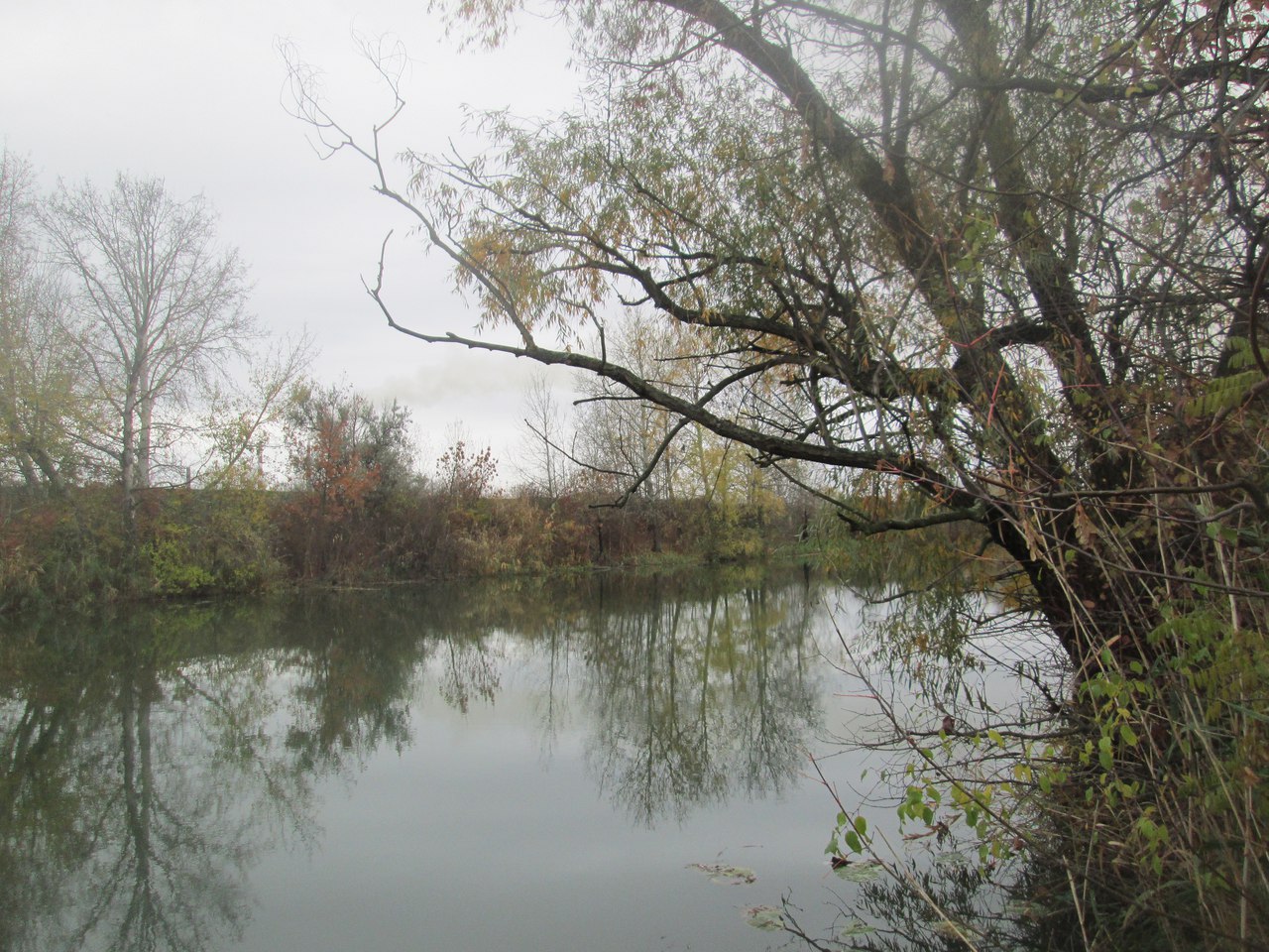 тихая река Донецкая область
