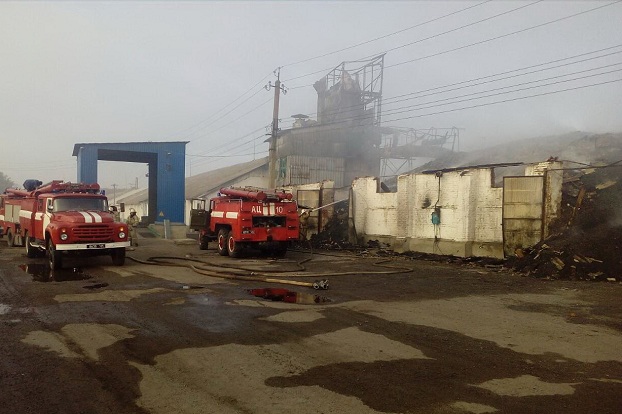 В Харьковской области пожар уничтожил два склада с зерном