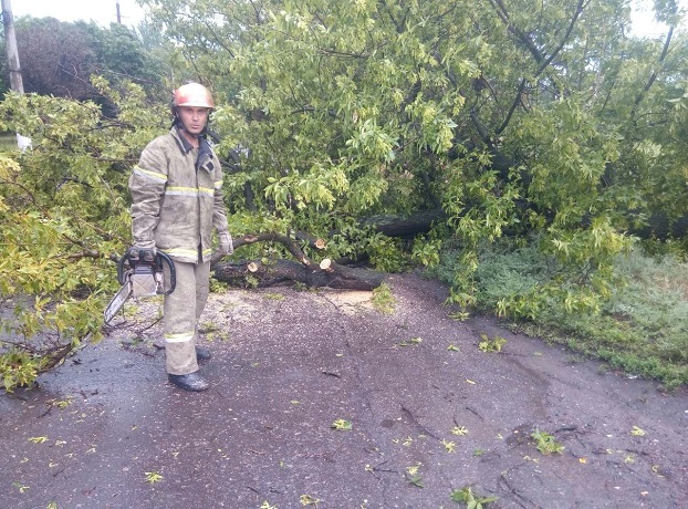 Над Донецкой областью пронесся ураган: кому было труднее всего