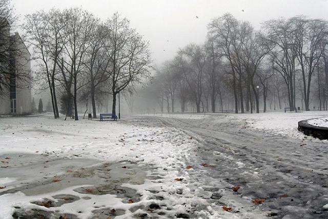 Прогноз погоды: Оттепель удержится в Украине в ближайшие дни