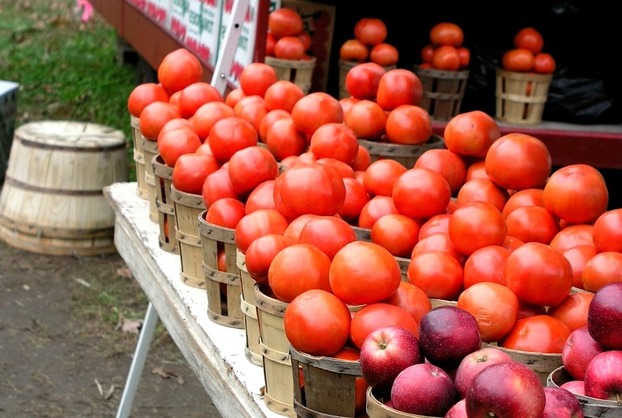В Николаевской области фермер убил предпринимателя из-за помидоров