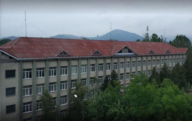 В Закарпатской области госпитализировали семерых школьников