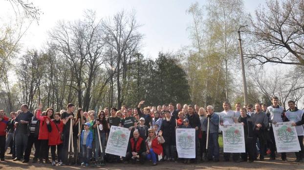 Благоустройство: В Краматорске высадили 250 деревьев