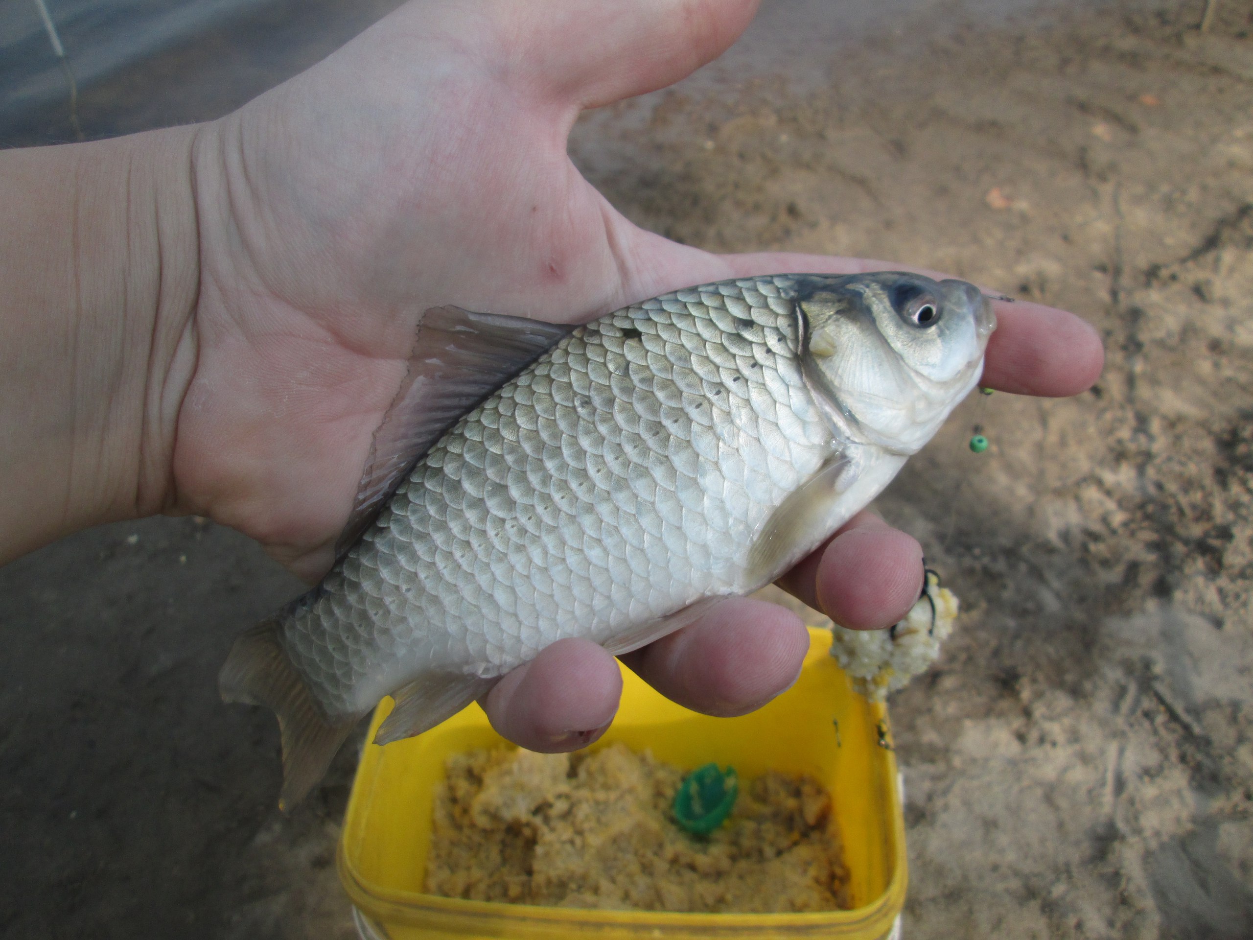 рыбалка в Донецкой области