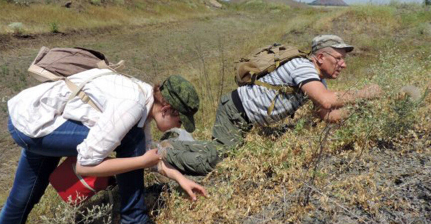 На неподконтрольном Донбассе отмечается вторжение чужеродных видов животных и растений