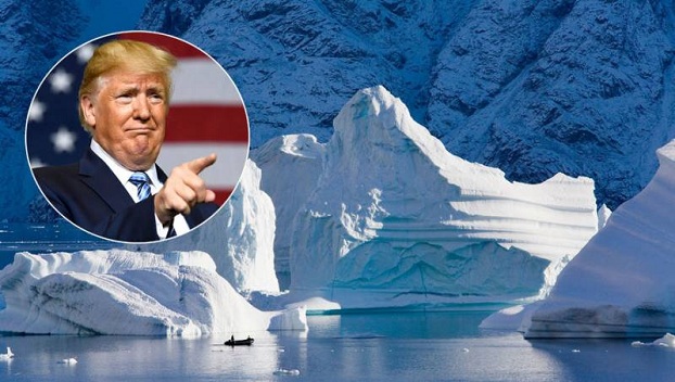 Трамп хотел заплатить Дании 600 млн долларов за Гренландию 