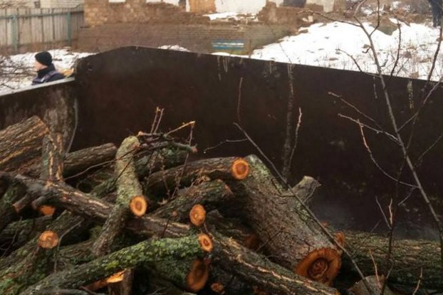 В Краматорске остановили незаконную вырубку деревьев 