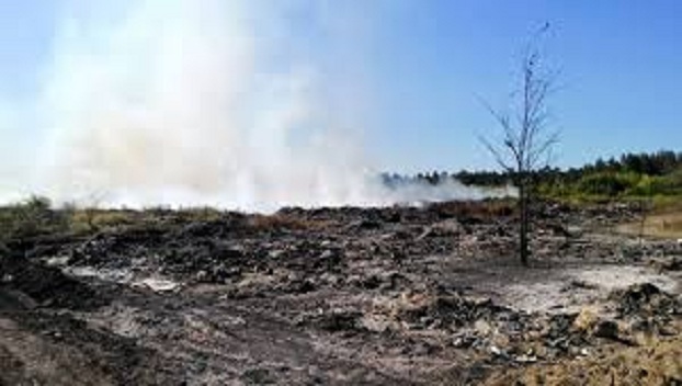 В Черниговской области загорелась свалка 