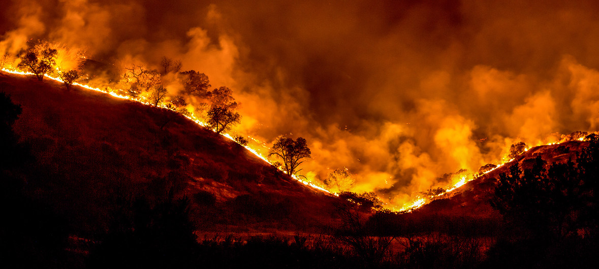 Пожары в Амазонии становятся мировым кризисом