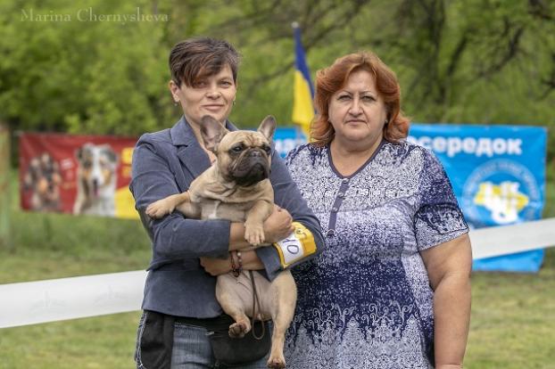 В Краматорске прошла Всеукраинская выставка собак