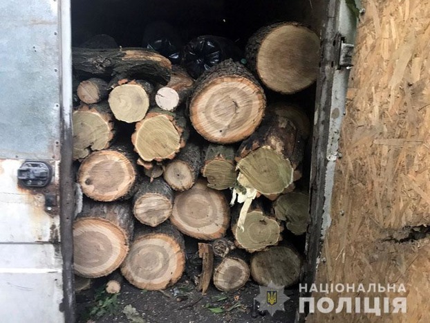 В Селидовском районе прекращена незаконная вырубка леса