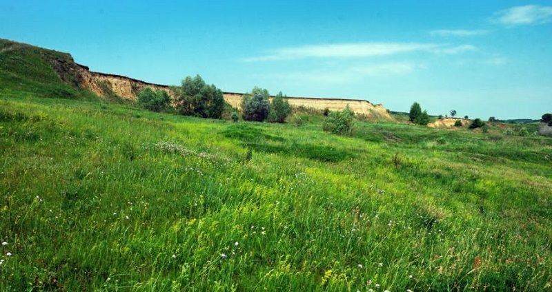 В Константиновке может появиться новый объект природно-заповедного фонда