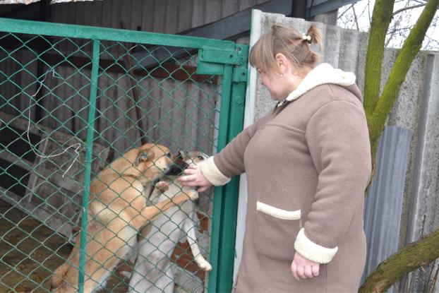 Мирноградское общество защиты животных планирует купить  дом для реабилитационного центра