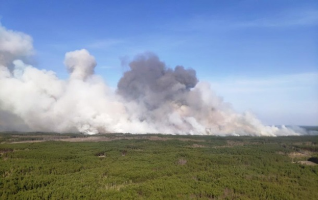 В Житомирской области горит лес