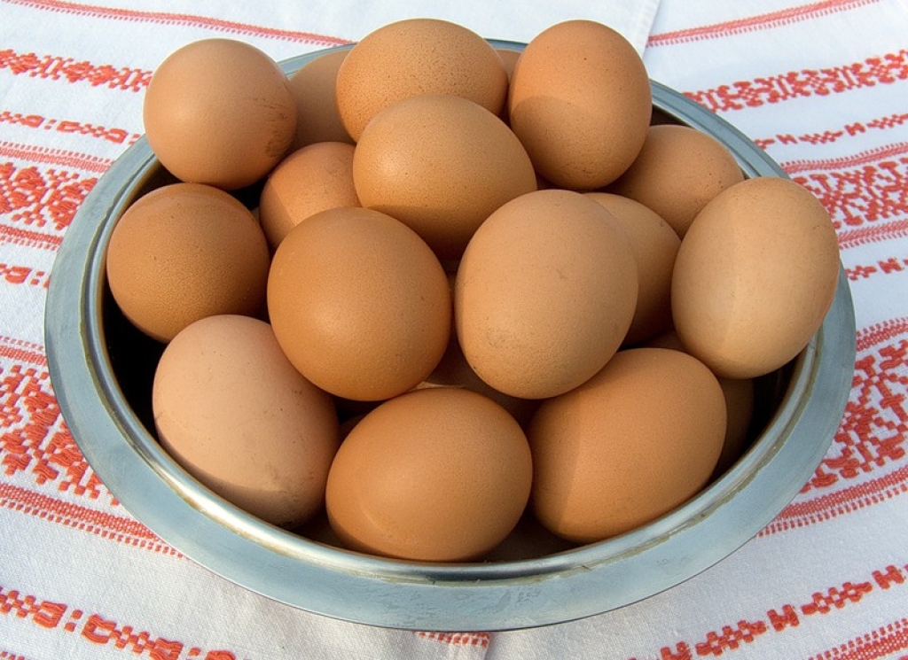 Школьников Константиновского района наконец-то накормят куриными яйцами
