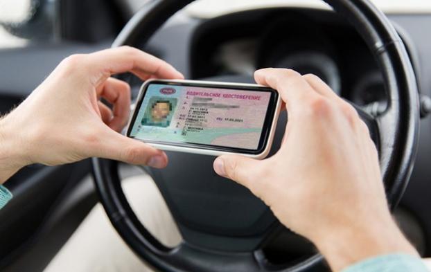 В Украине введут электронные водительские права и студенческие билеты