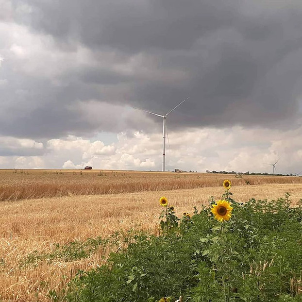 В Краматорске планируют выделить землю на строительство ветроэнергетических установок