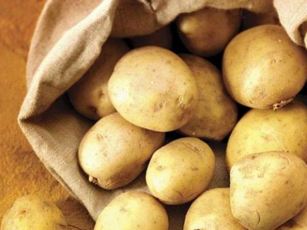 Урожай картофеля в Украине будет меньше в 2,5 раза — прогноз