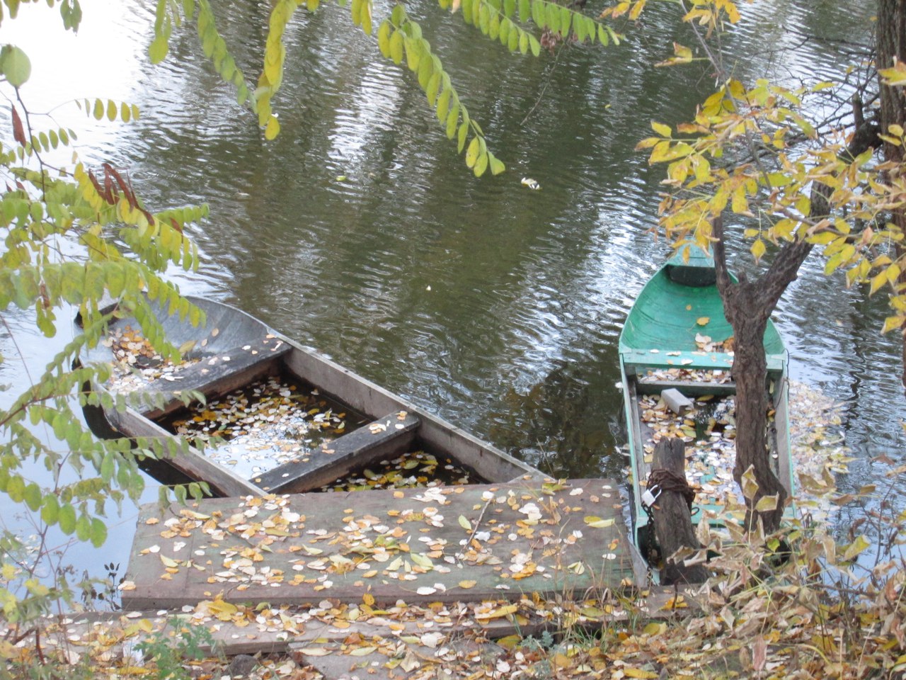 лодка в листве
