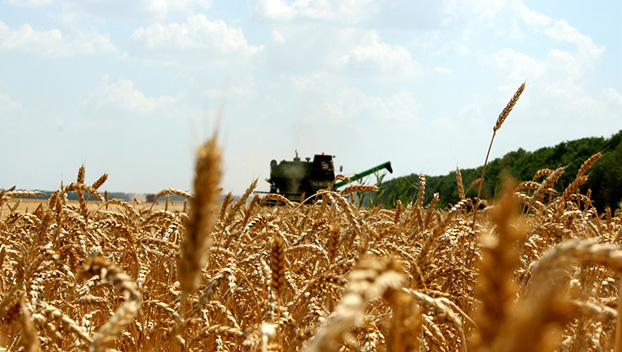 В Константиновском районе завершили уборку зерновых