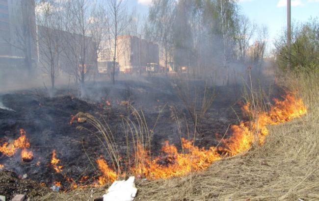 За минувшие выходные спасатели потушили 30 пожаров в экосистемах Донбасса