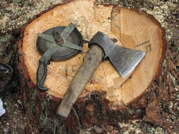 Экономные жители в Донецкой области лес собрались рубить на дрова