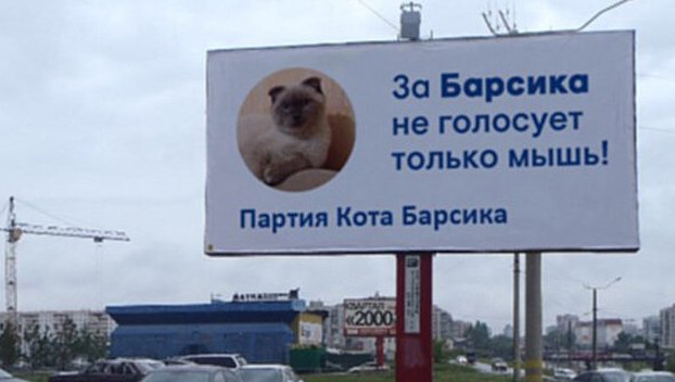 Путин будет соревноваться на выборах с котом
