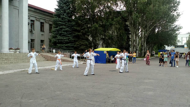 Спортсмены Покровска блеснули мастерством на фестивале «Из страны в Украину»