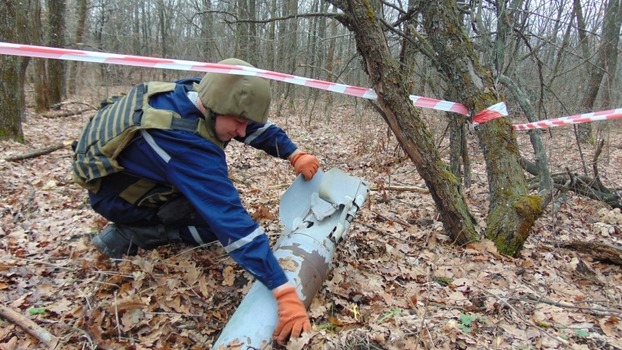 В Донецкой области за сутки обезвредили более ста взрывоопасных предметов